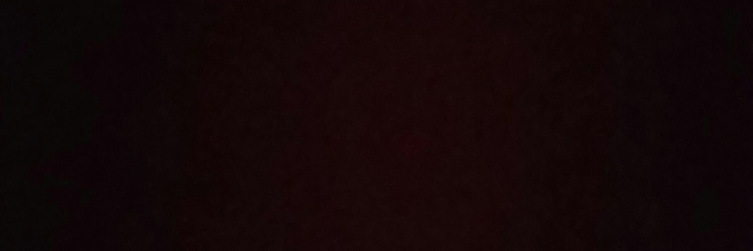 amber_borrmann's profile banner image
