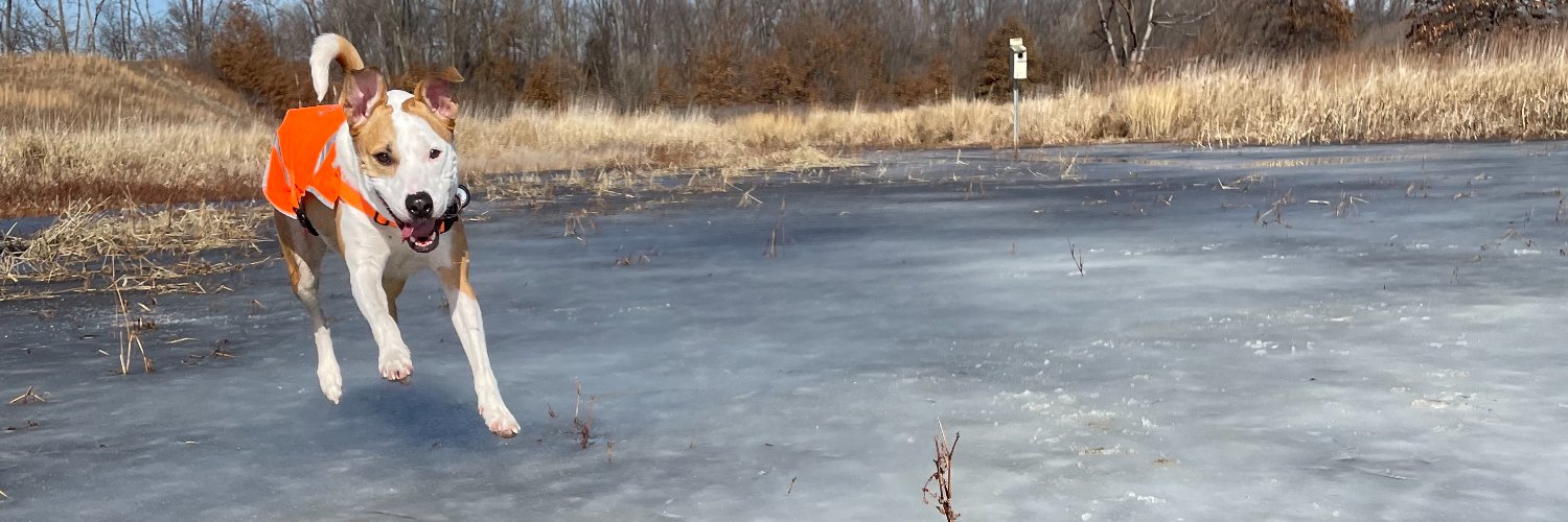 BenjiSJones's profile banner image