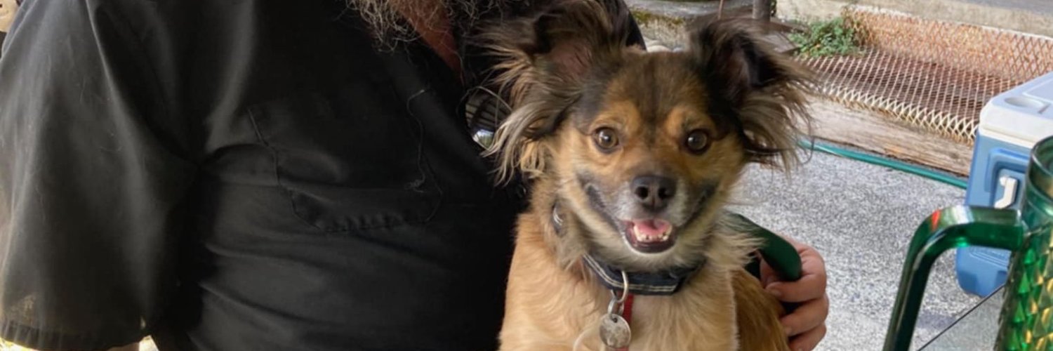 alex swavely ❓ banner