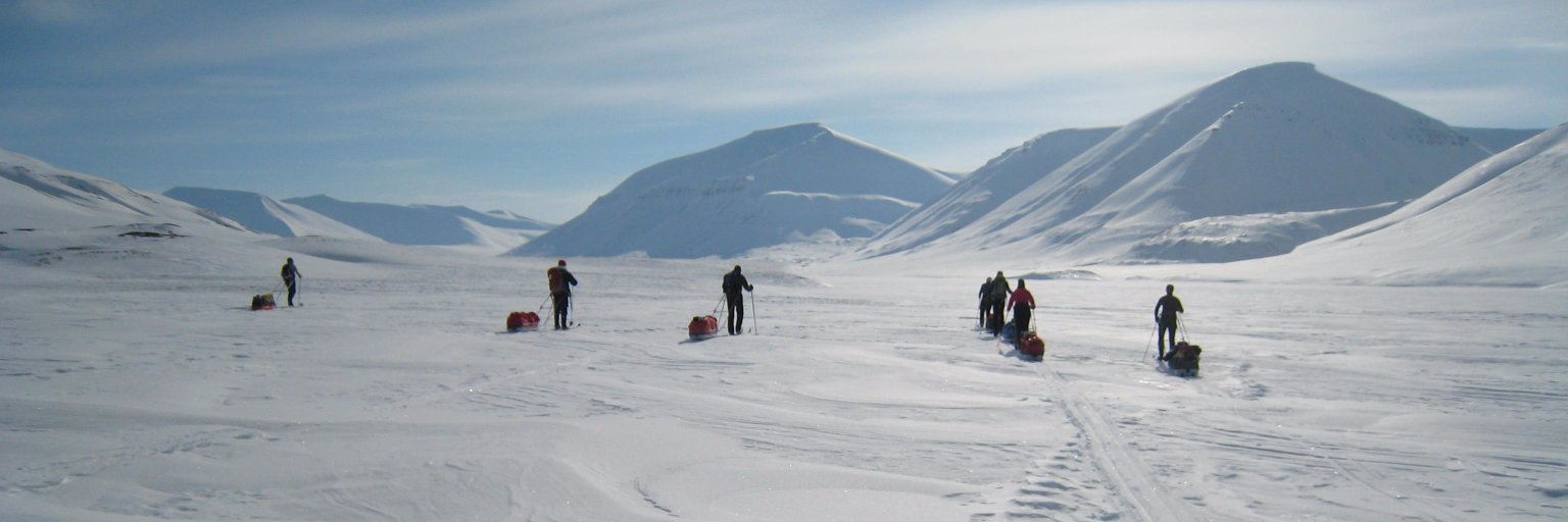 viljakaisa's profile banner image