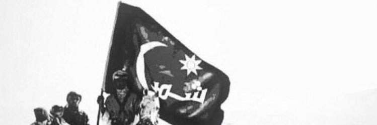 vlleww's profile banner image