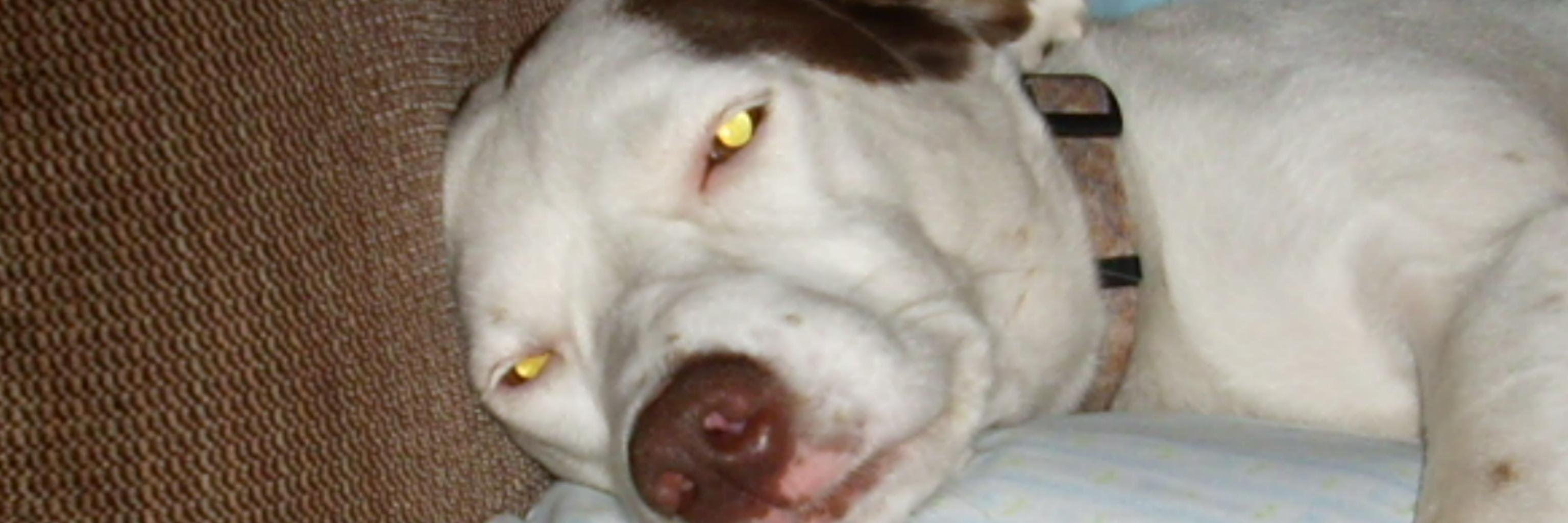 jethroeugene's profile banner image