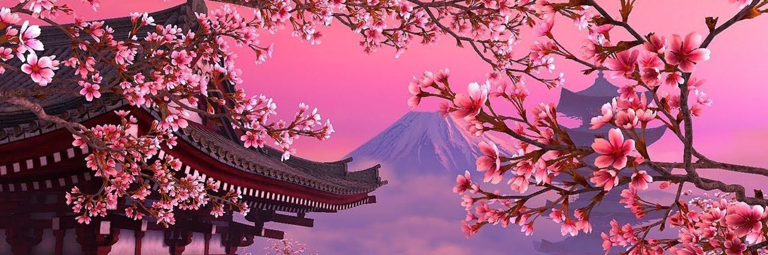 nychris2012's profile banner image