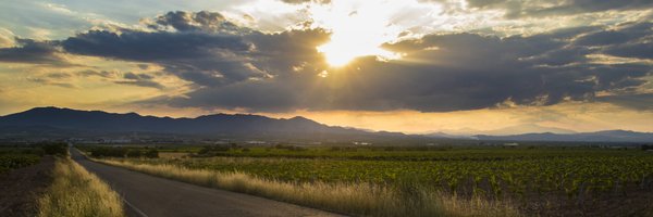 PEAGRO Profile Banner