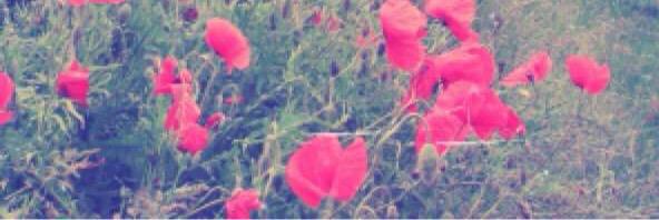 Amooosh_aa's profile banner image