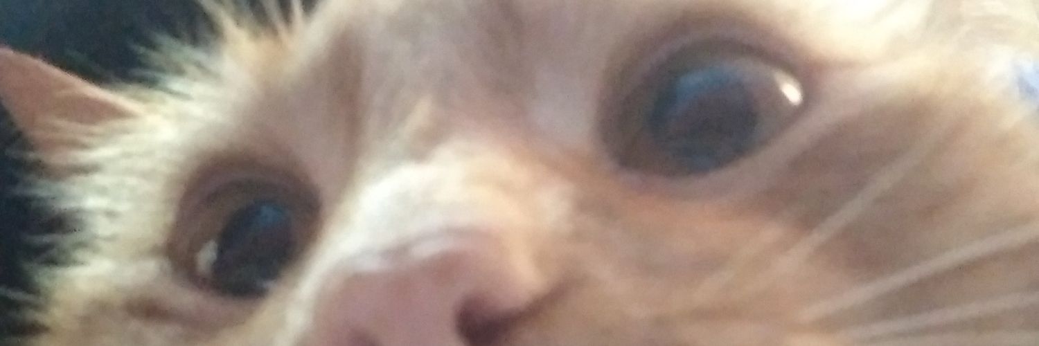 thiagowo_'s profile banner image