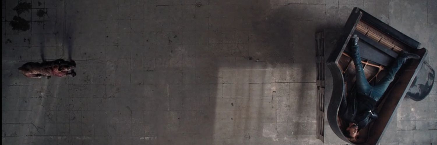 L J Human 🏳️‍⚧️ banner