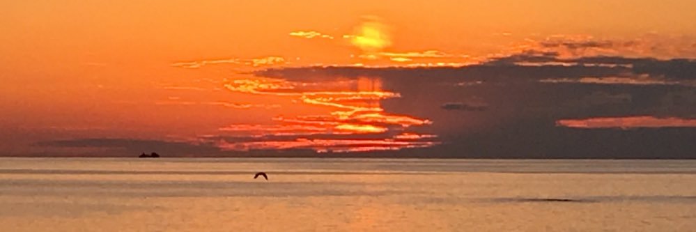 KEN-Z@8/23目黒THE LIVE STATION banner