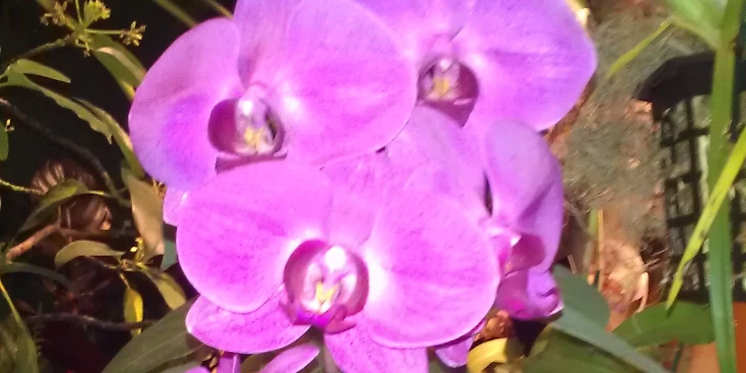 ShughesInShoes's profile banner image