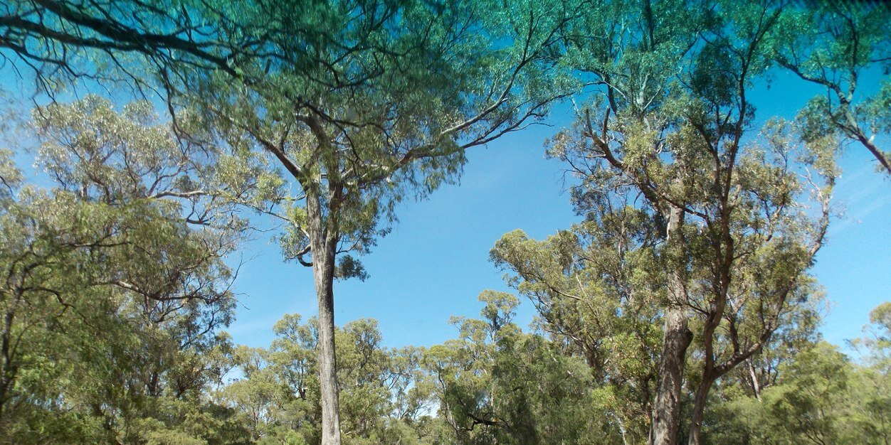 clarkdebs's profile banner image