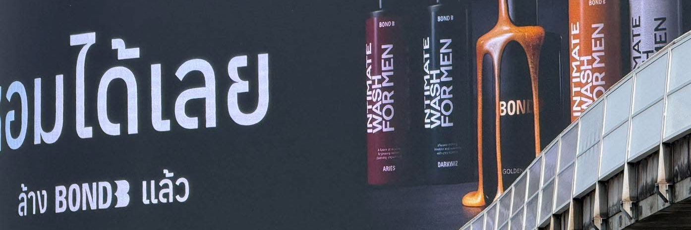 แมวส้ม banner