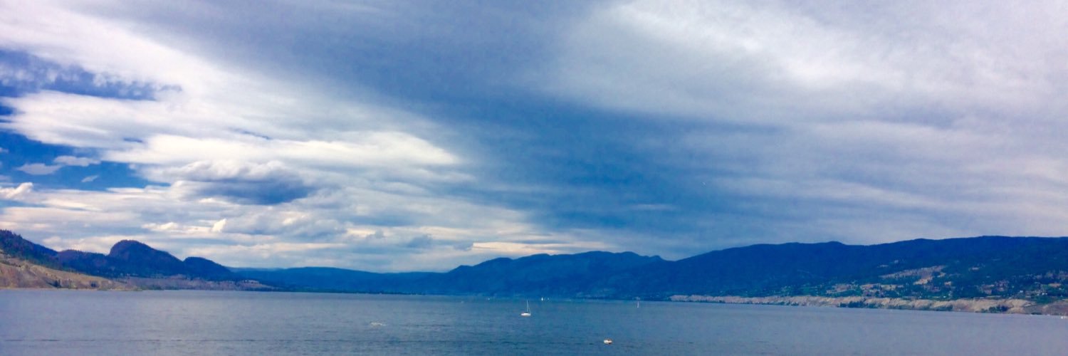 slevesque110's profile banner image