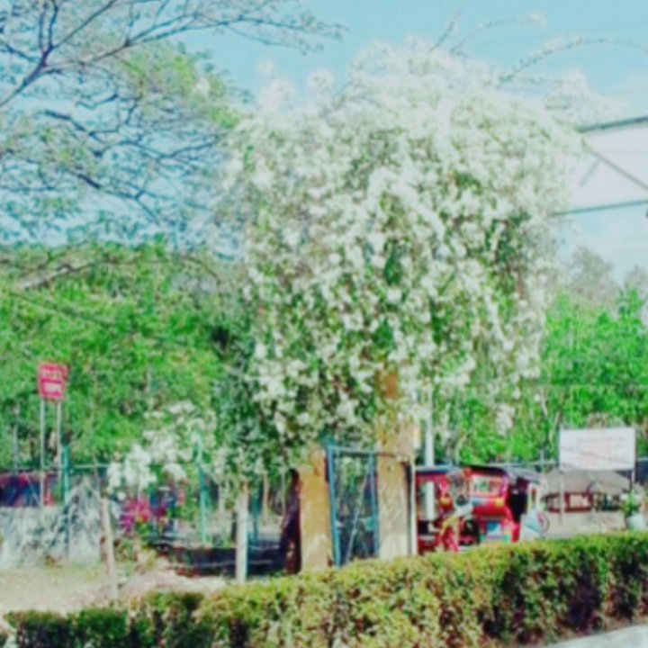 JMBAGUIO3's profile banner image