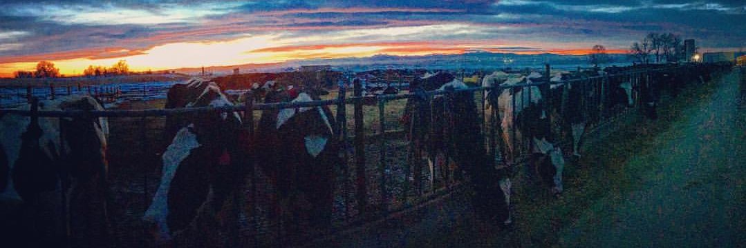 Kevin McSweeney banner