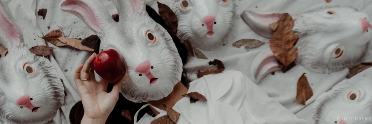 elfusuy's profile banner image