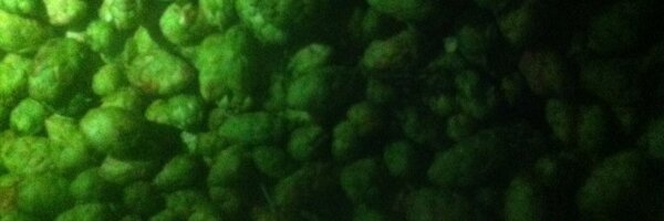 MarkCTranter Profile Banner