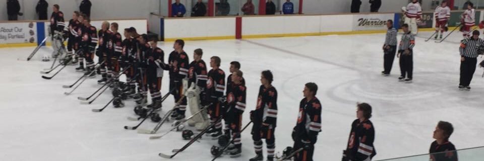 LP Hockey banner