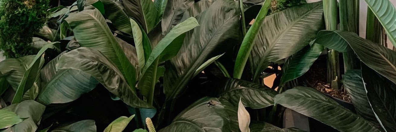 crvstvl's profile banner image