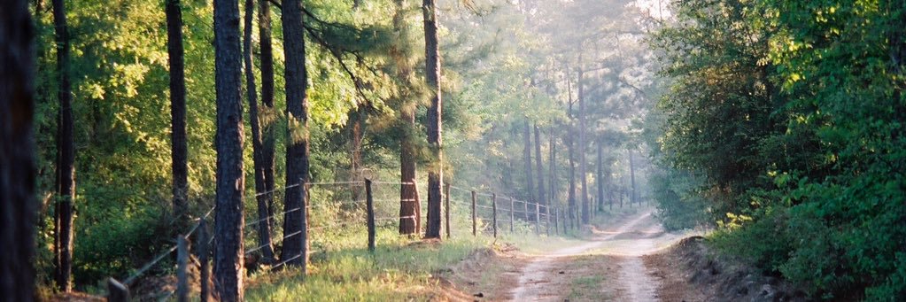 KnaggTex's profile banner image