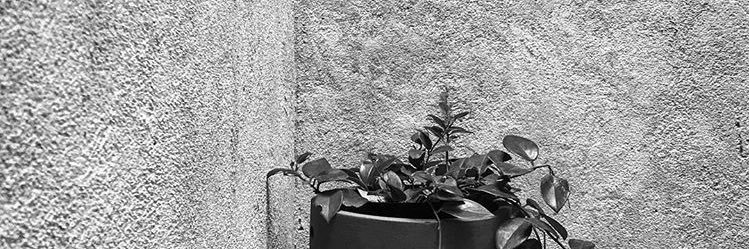 iyulsyfri's profile banner image