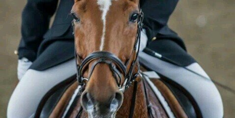 JustRutger_'s profile banner image