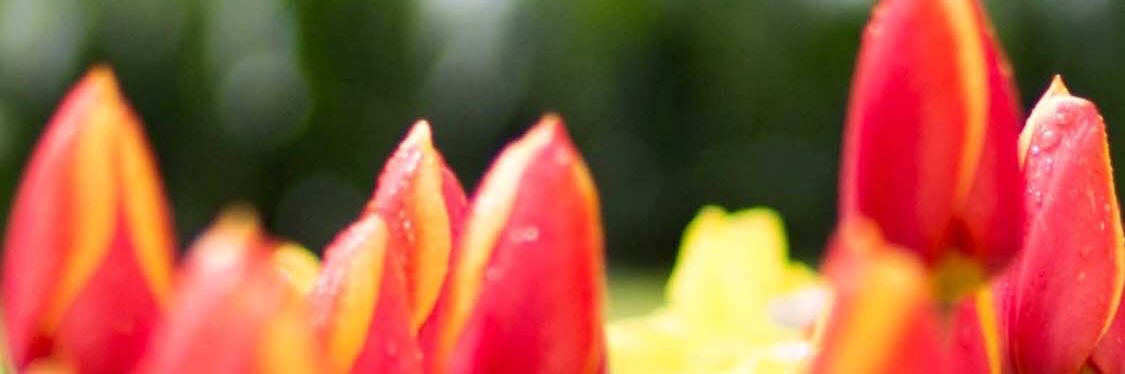 back2000's profile banner image