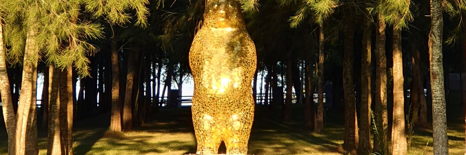 Wally Diamante 💎 banner