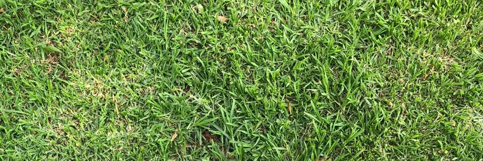 LeandroMfarinya's profile banner image