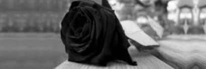 mar737y's profile banner image