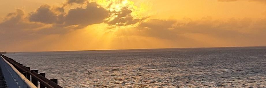 Bri banner