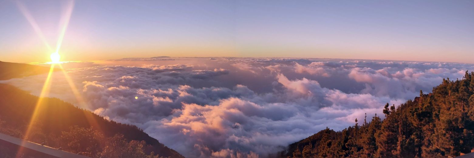 Javier Agüera banner