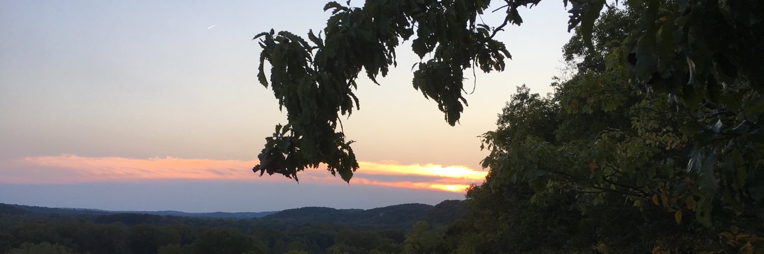 STLRocks's profile banner image