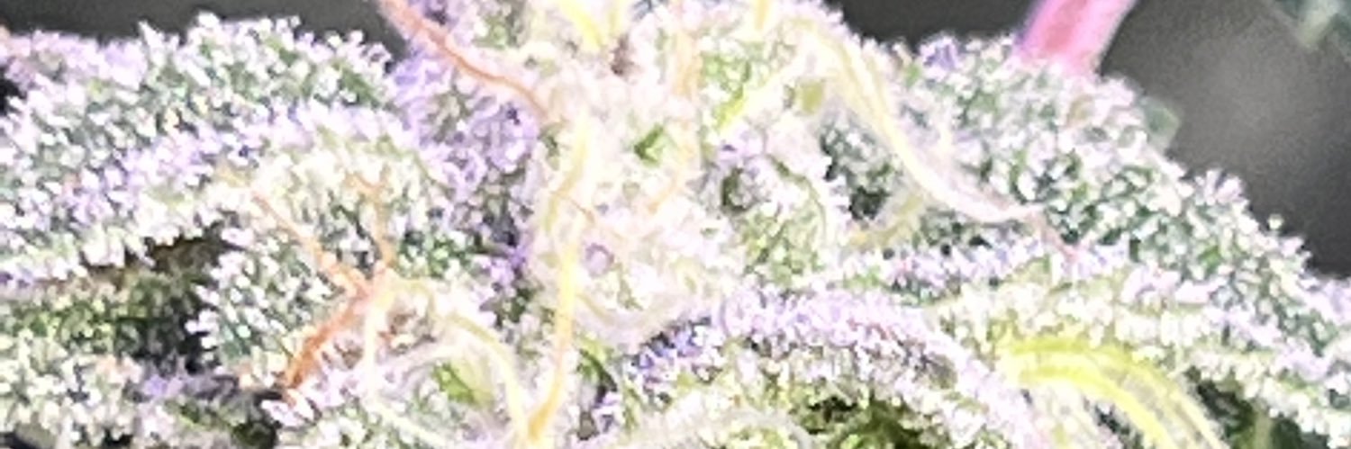 M1CHAEL_73's profile banner image