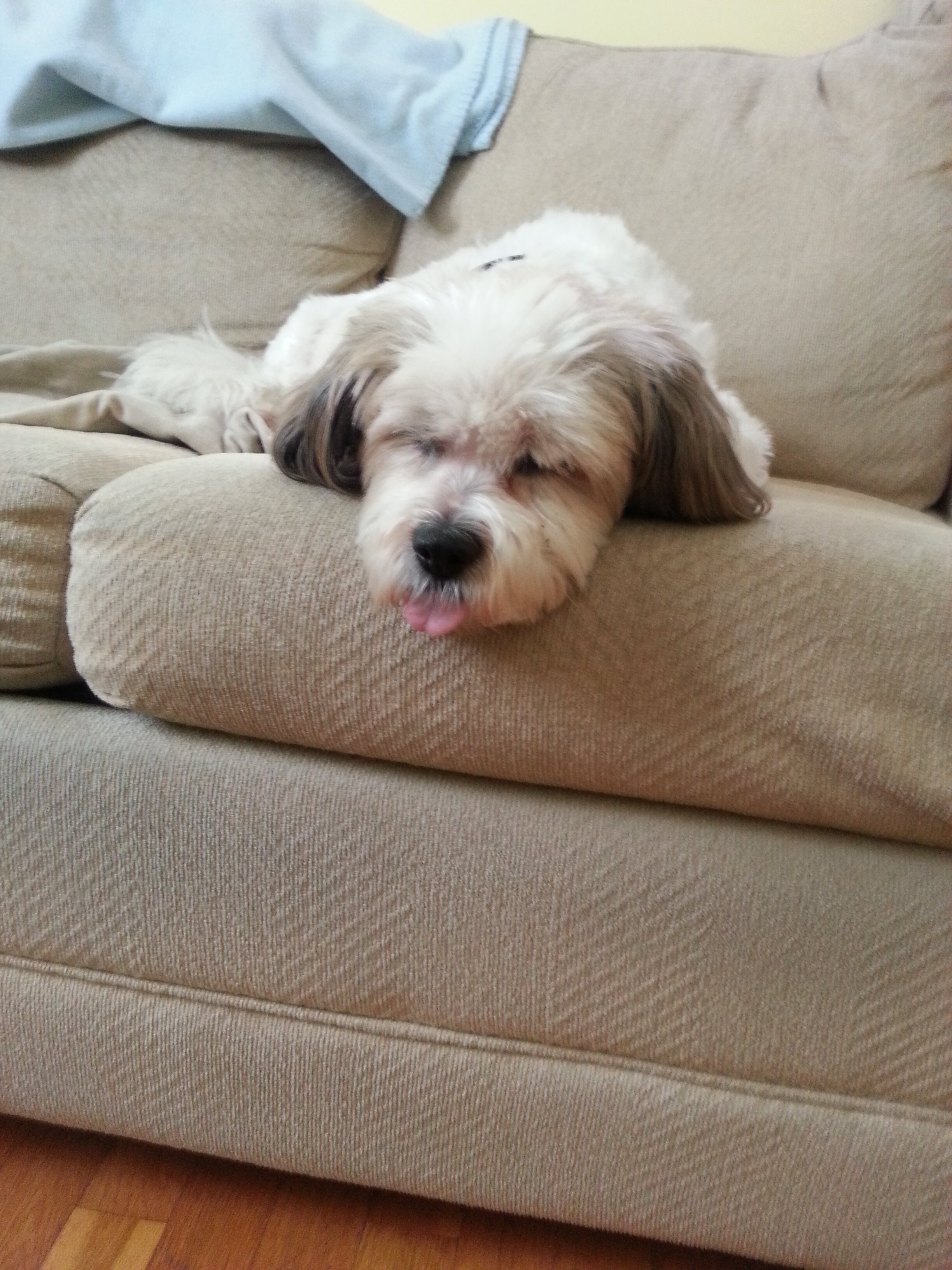 Rob Hodkinson🇨🇦🏴󠁧󠁢󠁳󠁣󠁴󠁿 banner