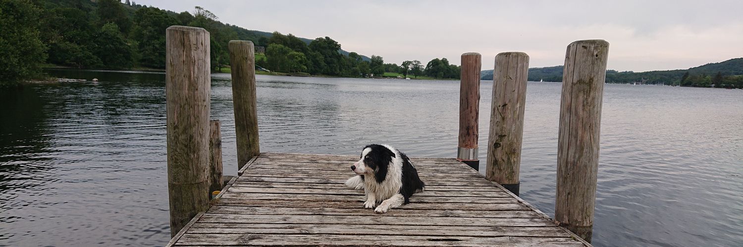 CollieJake's profile banner image