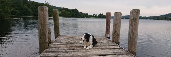 CollieJake Profile Banner