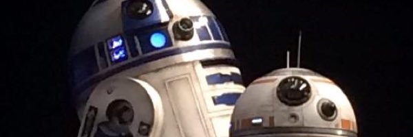 wtskier88's profile banner image