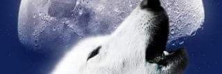 juniorwar4's profile banner image