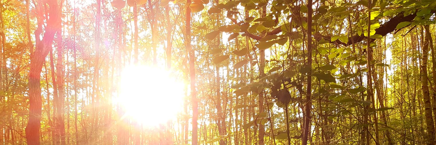 Colch_Nature's profile banner image