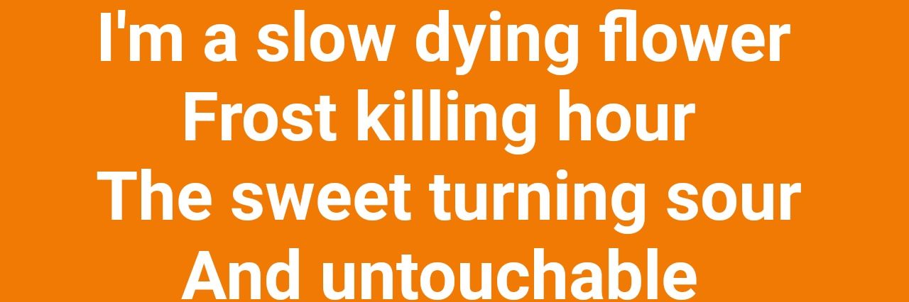 The Orange Ranger banner