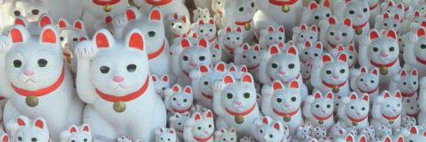 DonConejos's profile banner image