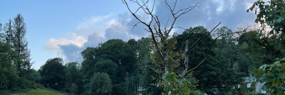 jangirpakash's profile banner image