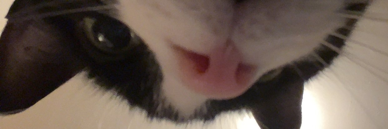 keeehaw's profile banner image