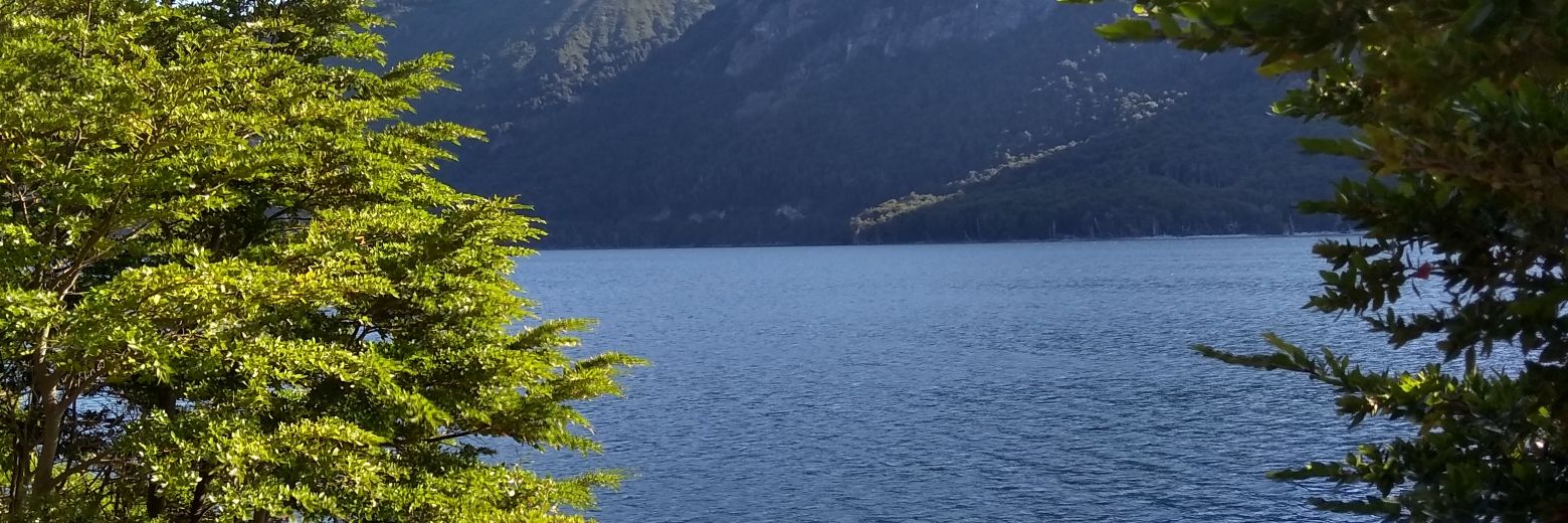 Laura García Oviedo banner