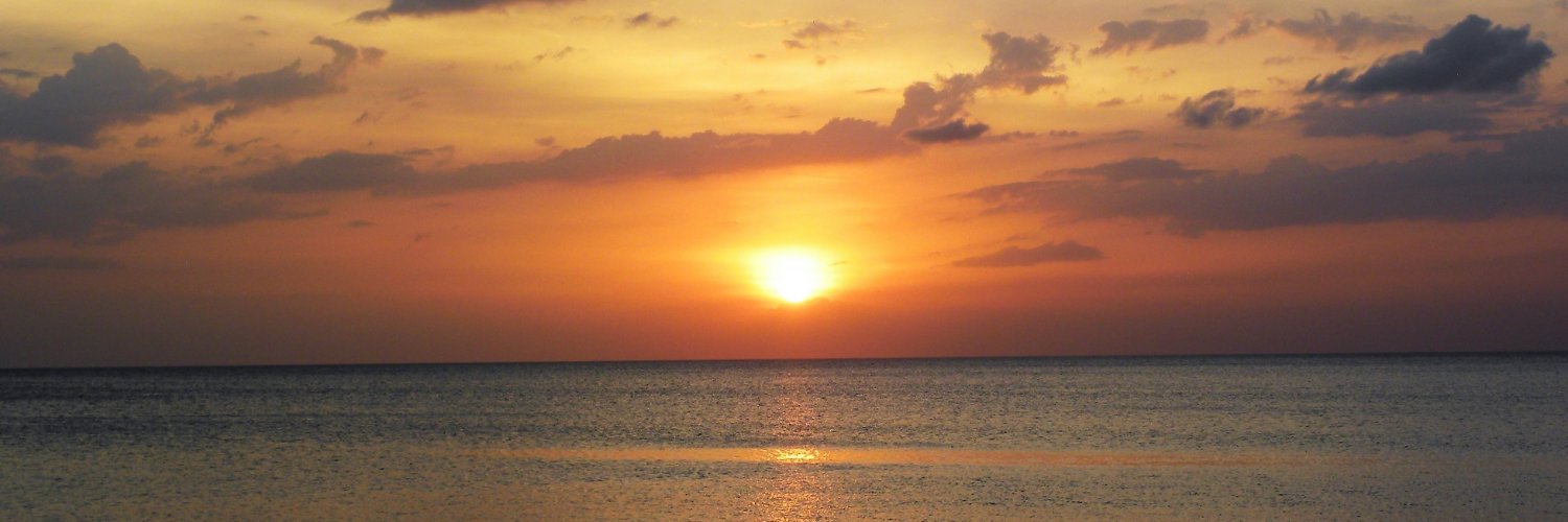 sunshine14616's profile banner image