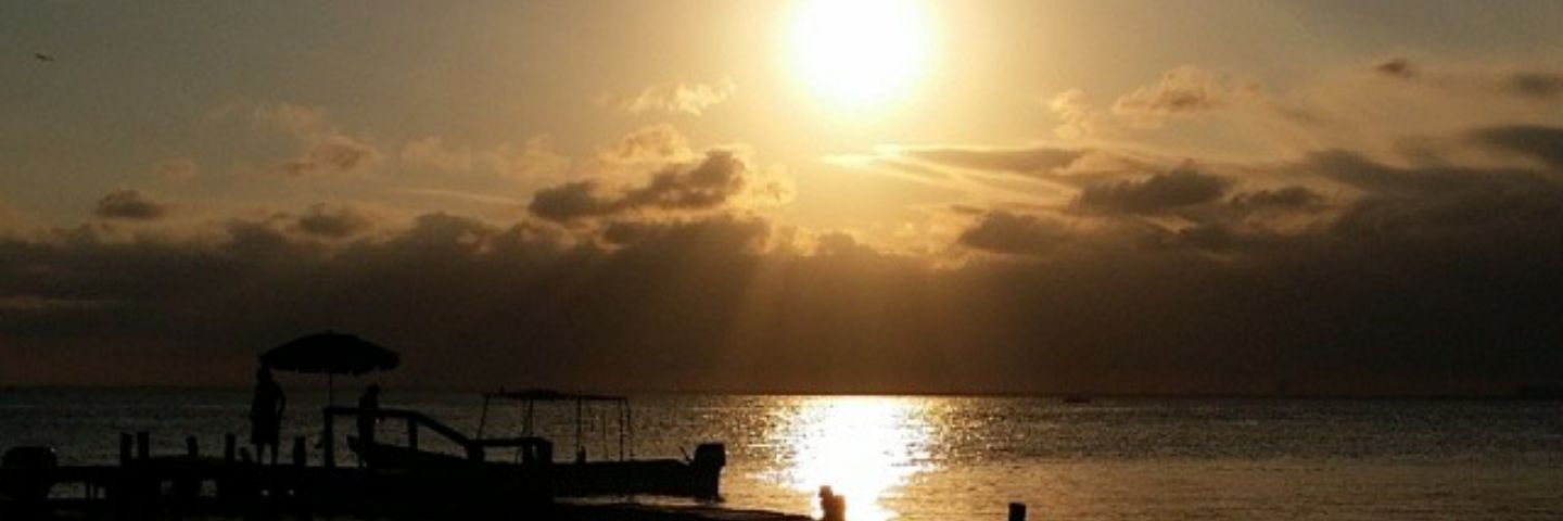 liddo_Jessica's profile banner image