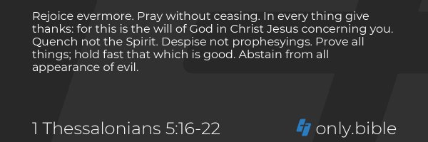 ellatell Profile Banner