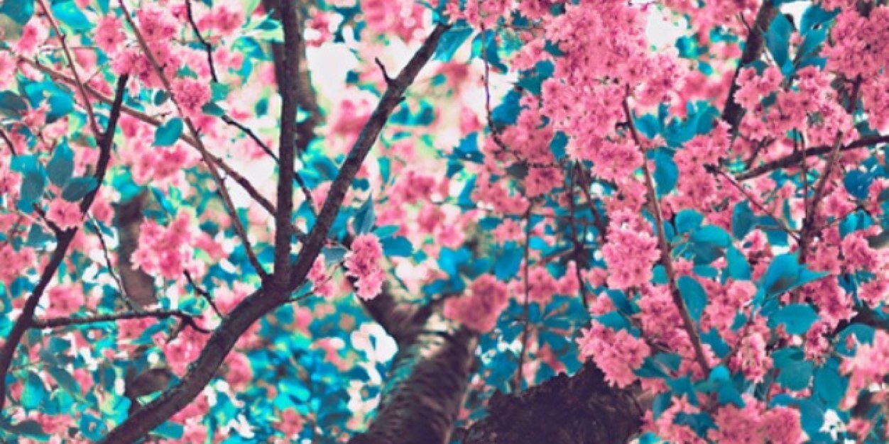 ImkevdHeijden's profile banner image