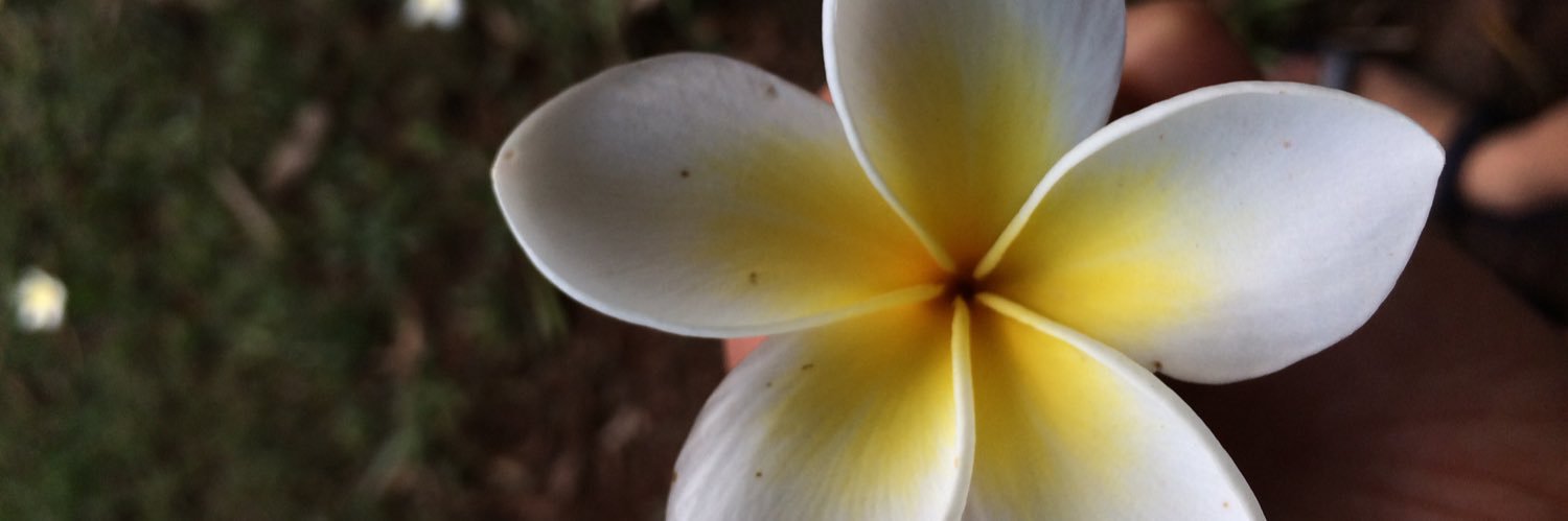 hannahvhee's profile banner image