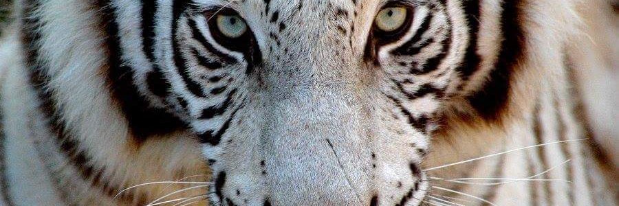 D___U___Y's profile banner image